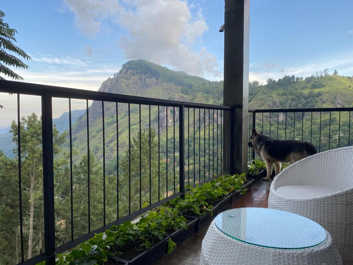 Star Gaze Lodge 엘라 외부 사진
