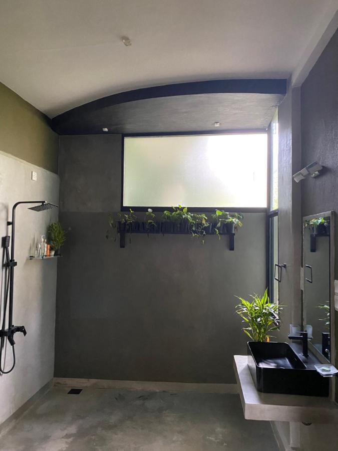 Star Gaze Lodge 엘라 외부 사진