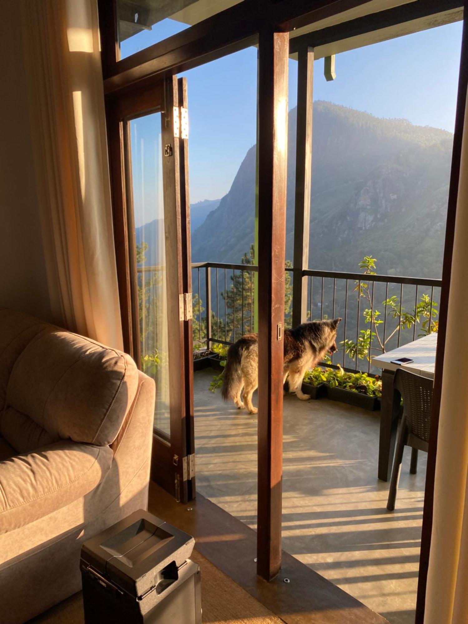 Star Gaze Lodge 엘라 외부 사진